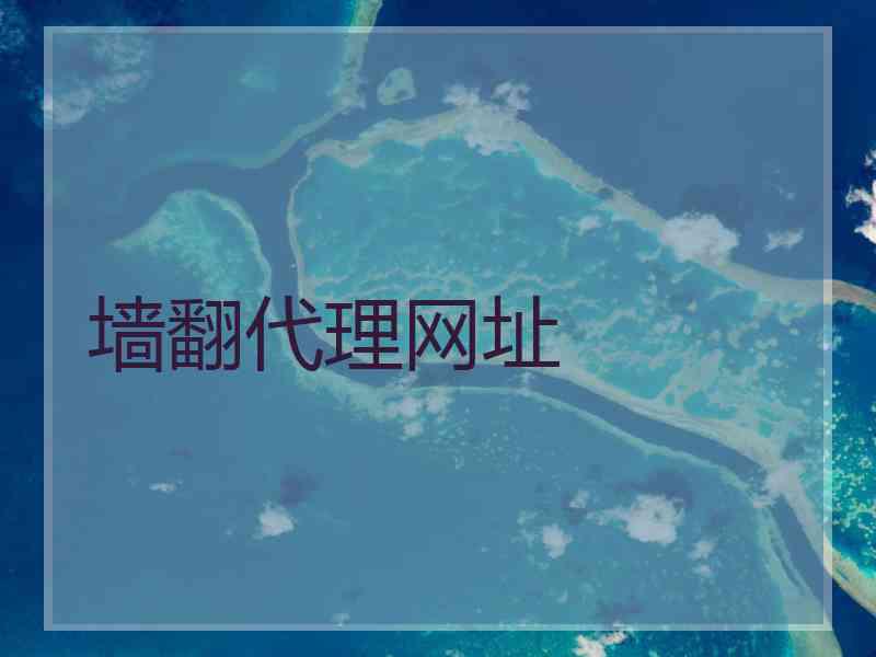 墙翻代理网址