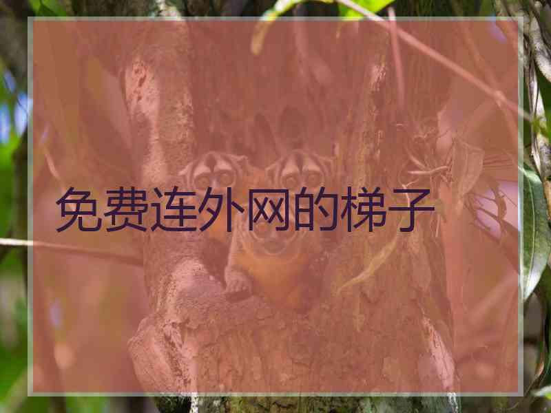 免费连外网的梯子
