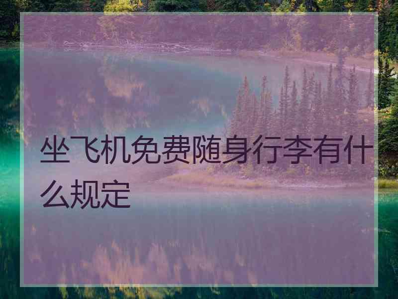 坐飞机免费随身行李有什么规定