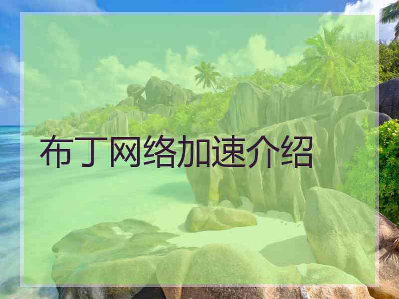 布丁网络加速介绍