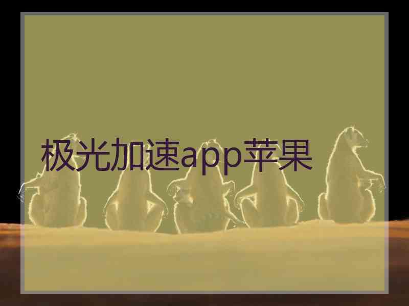 极光加速app苹果