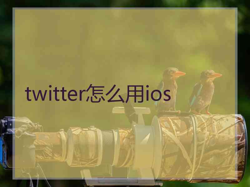 twitter怎么用ios