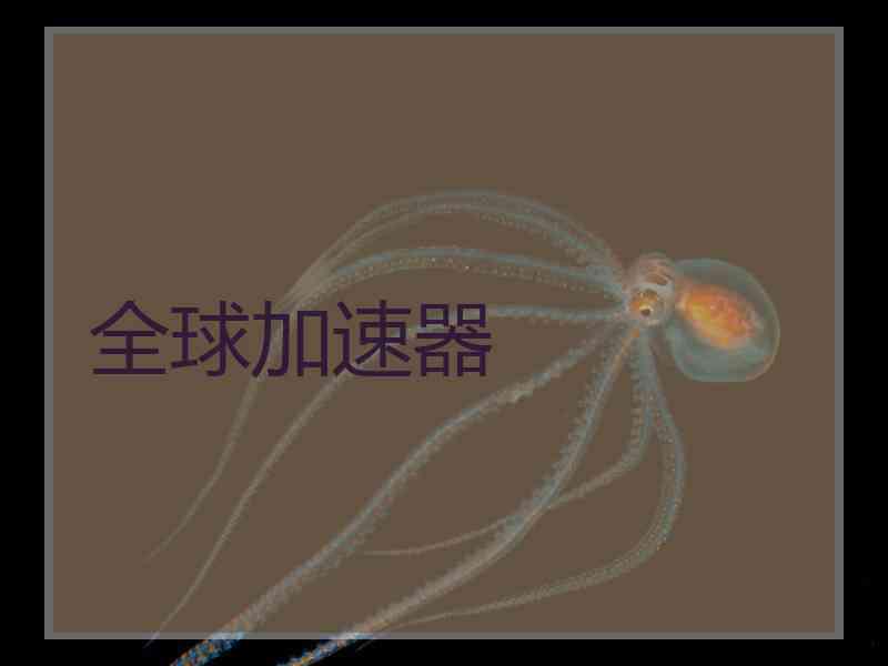全球加速器