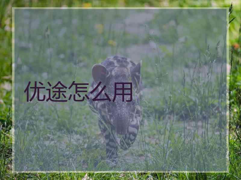 优途怎么用