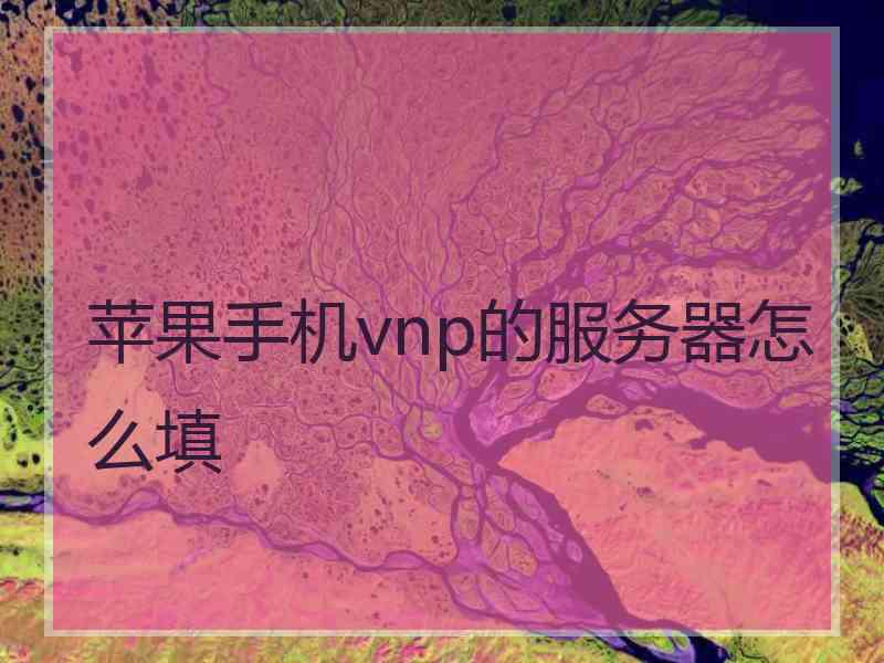 苹果手机vnp的服务器怎么填