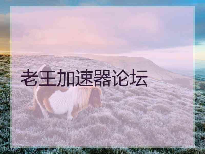 老王加速器论坛