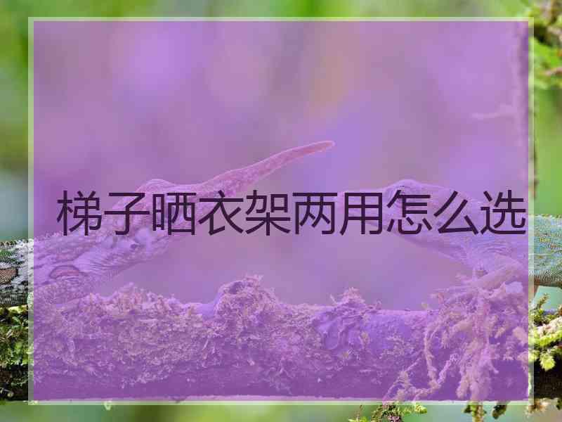 梯子晒衣架两用怎么选