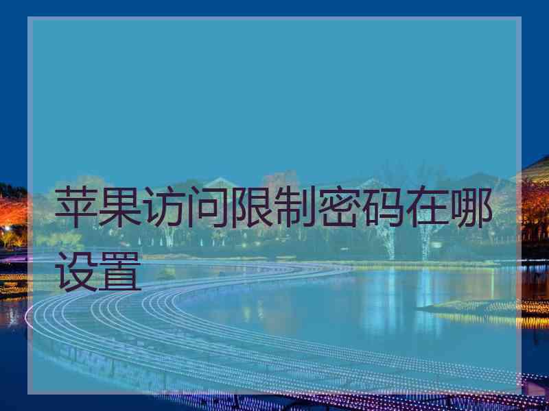 苹果访问限制密码在哪设置
