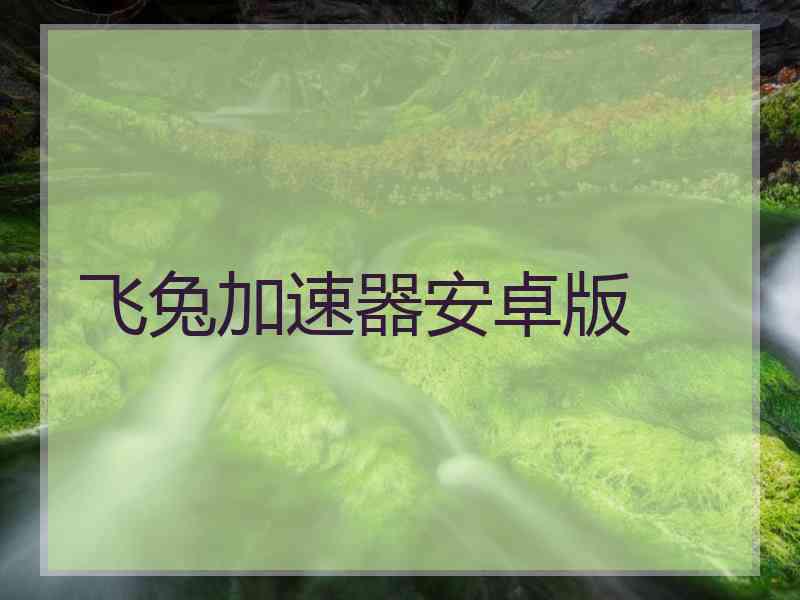 飞兔加速器安卓版