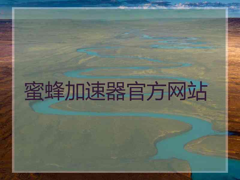 蜜蜂加速器官方网站