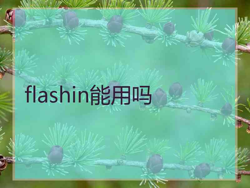 flashin能用吗