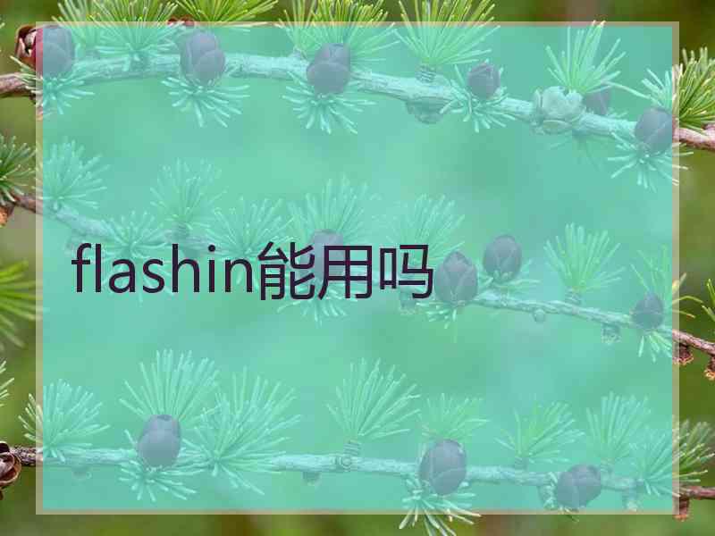 flashin能用吗