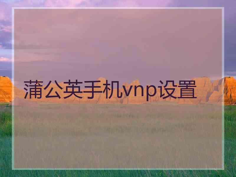 蒲公英手机vnp设置