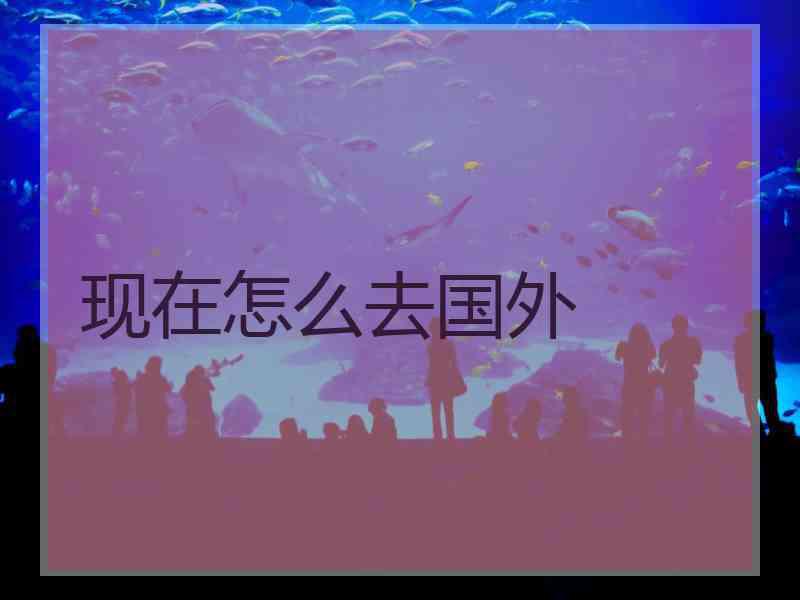 现在怎么去国外