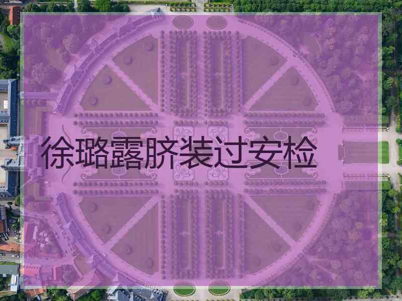 徐璐露脐装过安检
