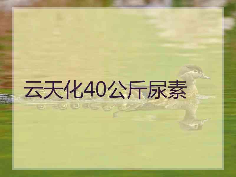云天化40公斤尿素