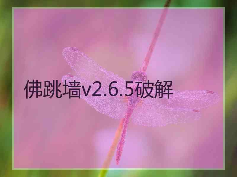 佛跳墙v2.6.5破解
