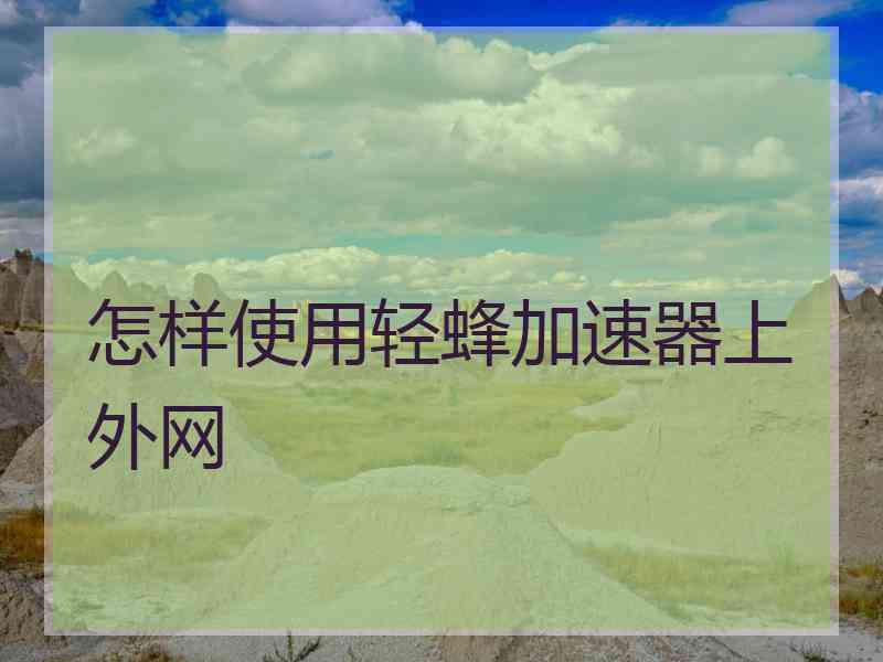 怎样使用轻蜂加速器上外网