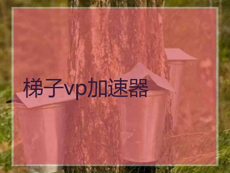 梯子vp加速器