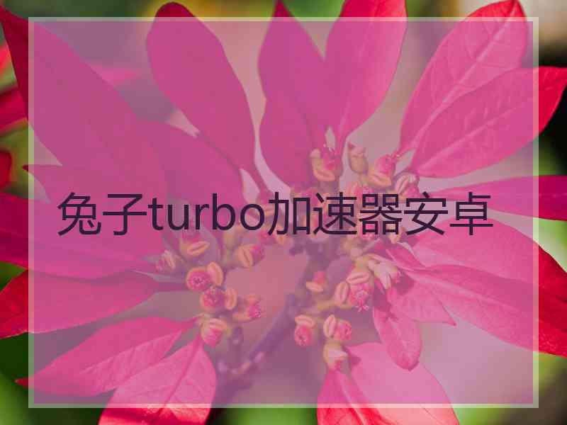 兔子turbo加速器安卓