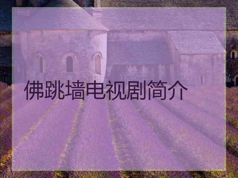 佛跳墙电视剧简介