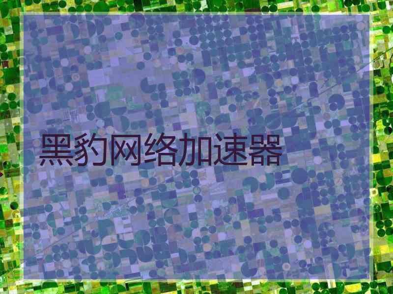 黑豹网络加速器