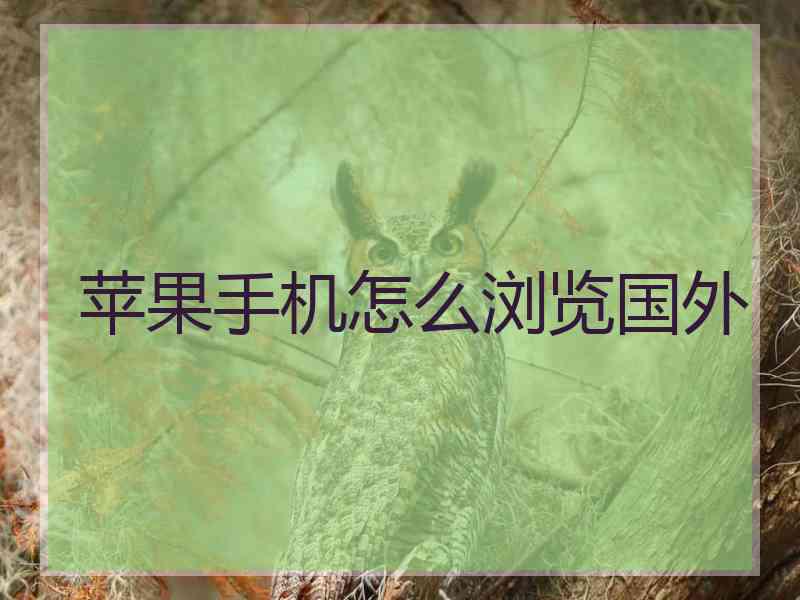 苹果手机怎么浏览国外