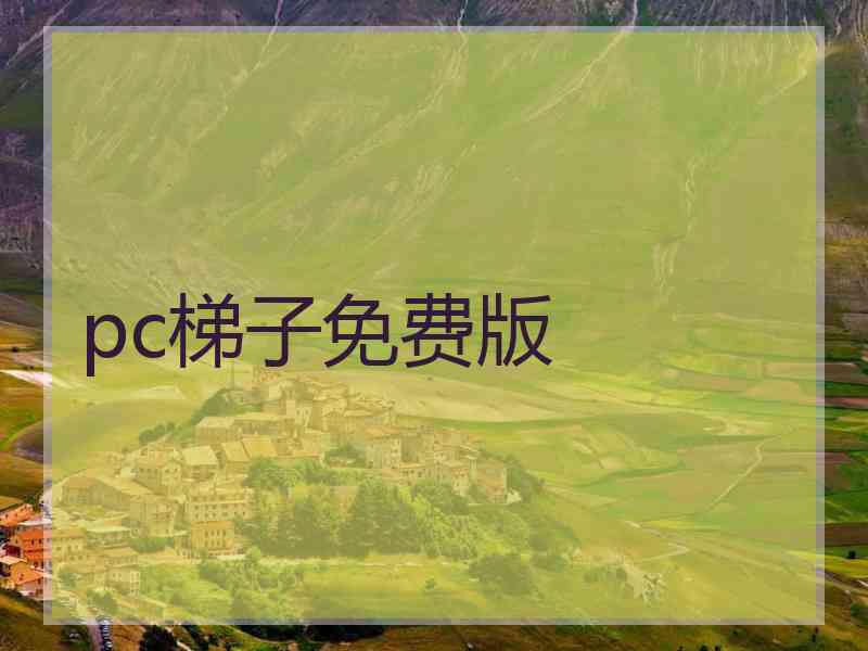 pc梯子免费版