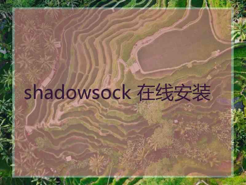 shadowsock 在线安装