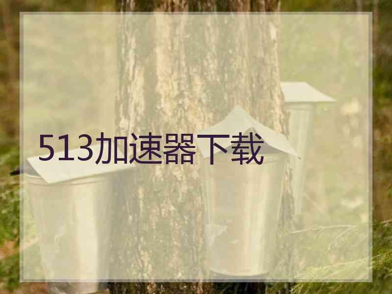 513加速器下载
