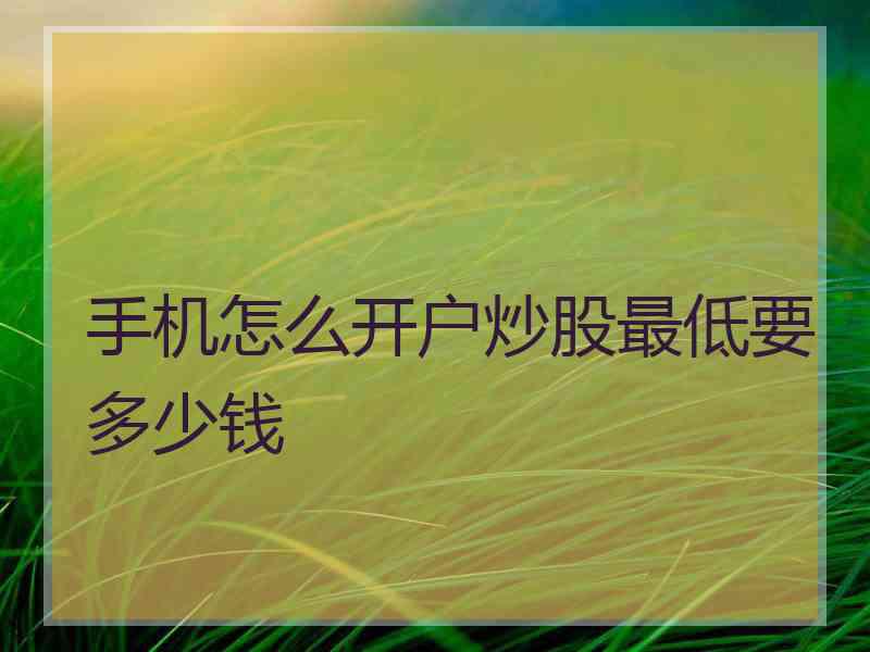 手机怎么开户炒股最低要多少钱