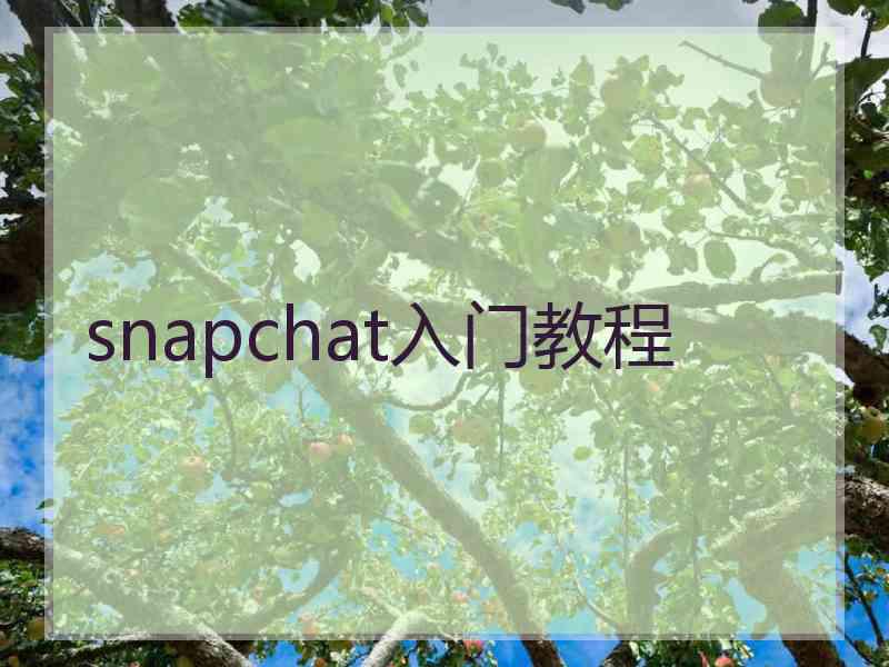 snapchat入门教程