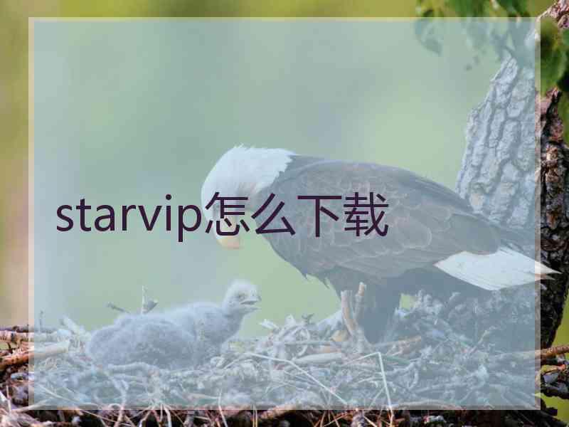 starvip怎么下载