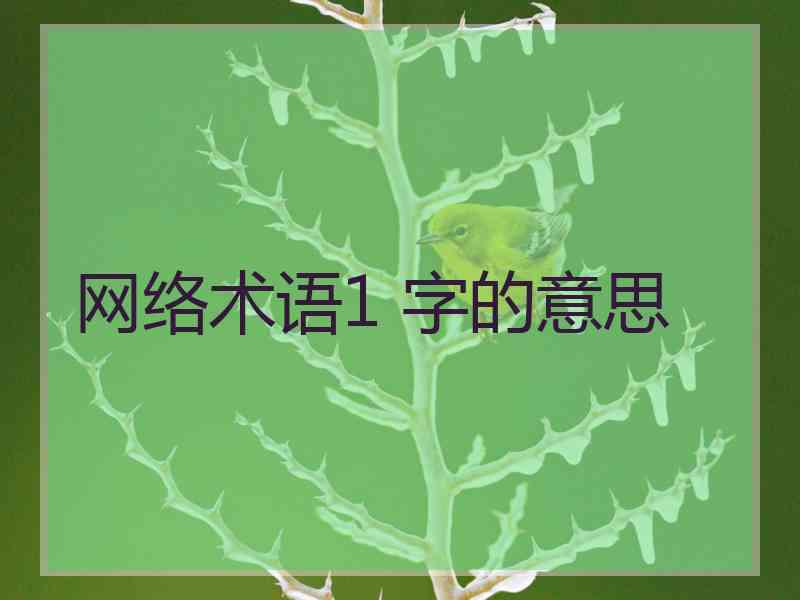 网络术语1 字的意思