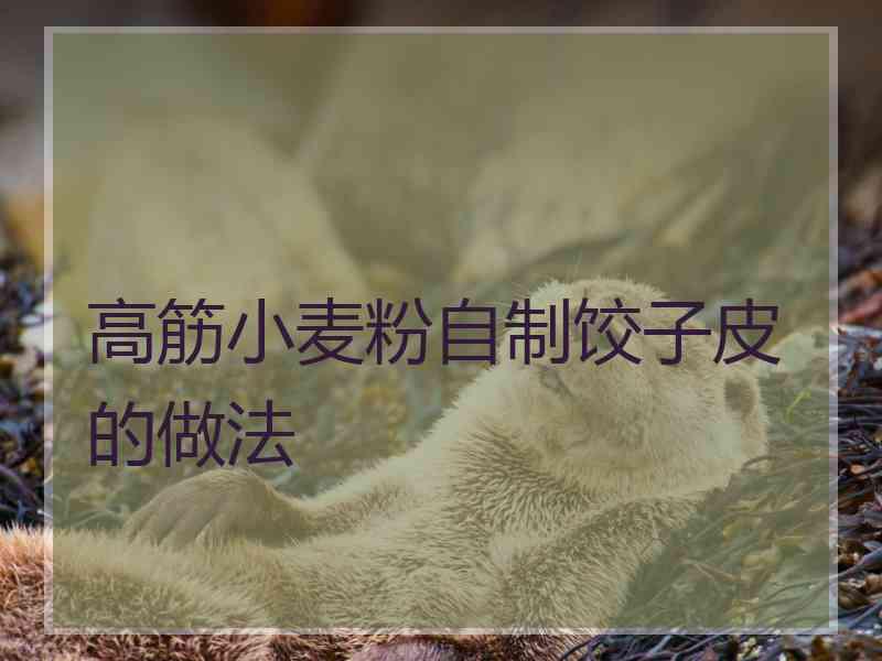 高筋小麦粉自制饺子皮的做法