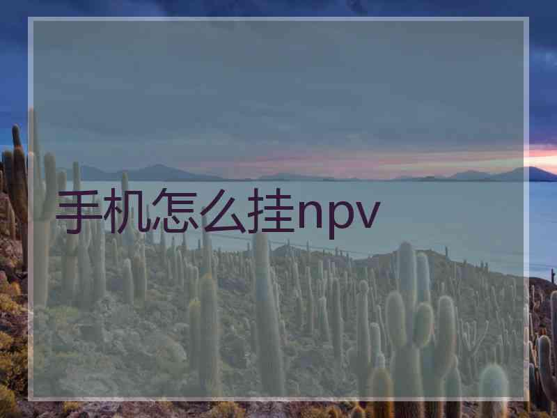 手机怎么挂npv