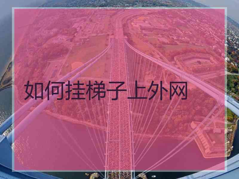 如何挂梯子上外网