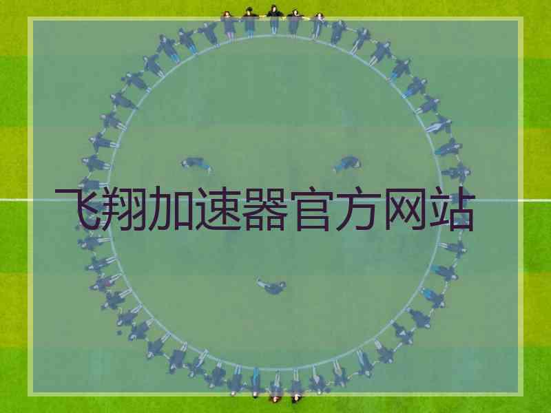 飞翔加速器官方网站