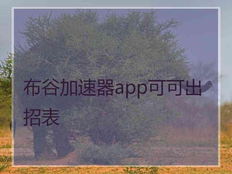 布谷加速器app可可出招表