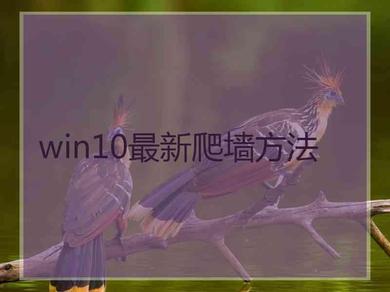 win10最新爬墙方法