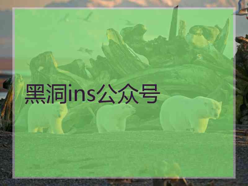 黑洞ins公众号