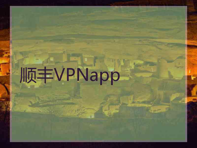 顺丰VPNapp