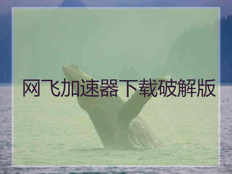 网飞加速器下载破解版