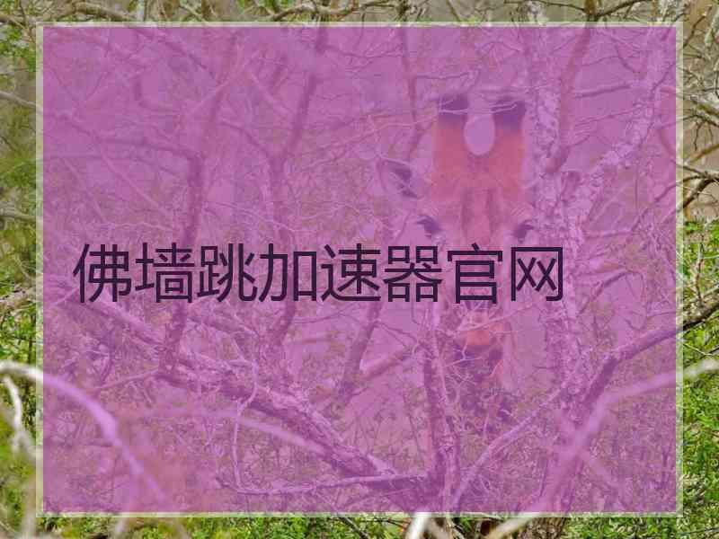 佛墙跳加速器官网