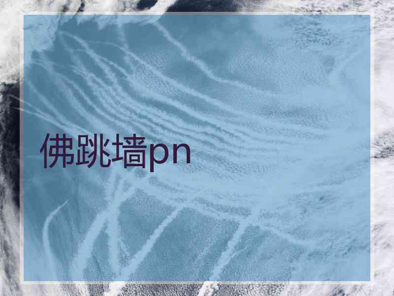 佛跳墙pn