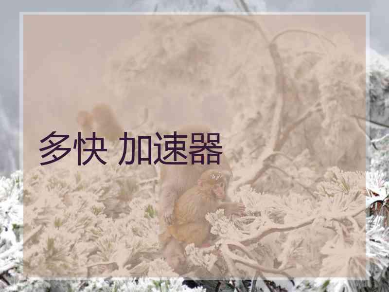 多快 加速器