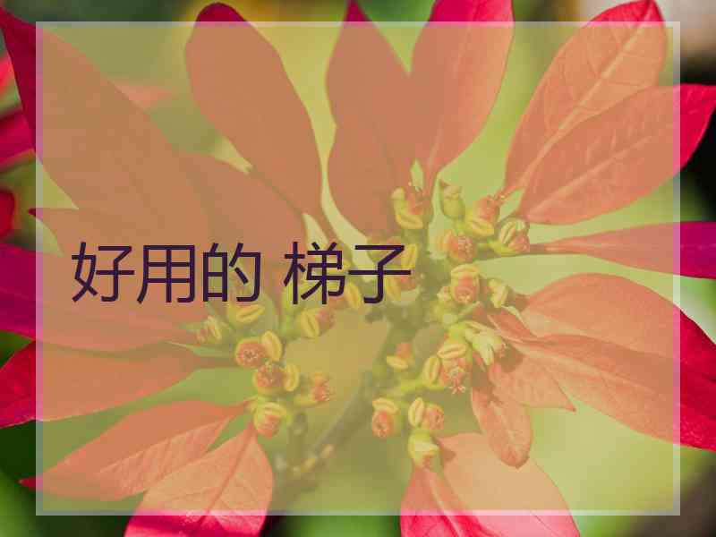 好用的 梯子