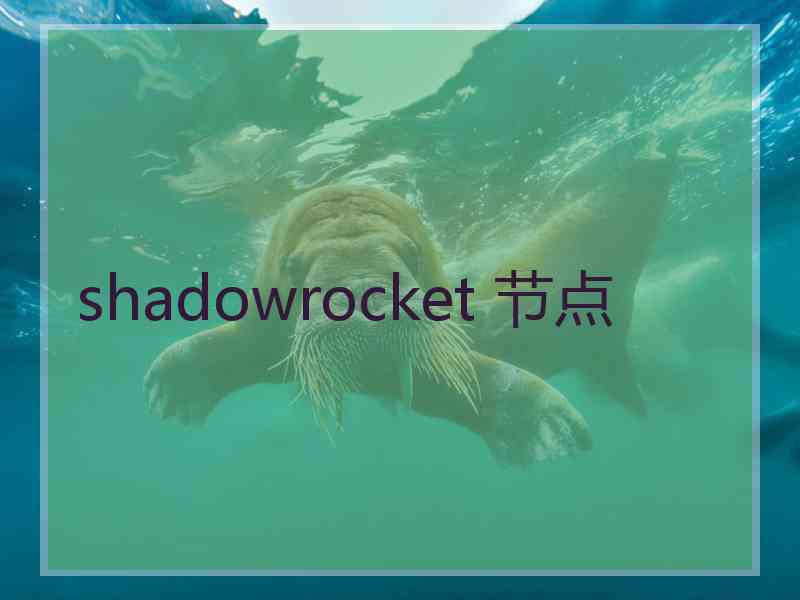 shadowrocket 节点