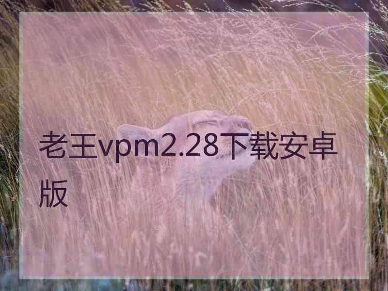 老王vpm2.28下载安卓版
