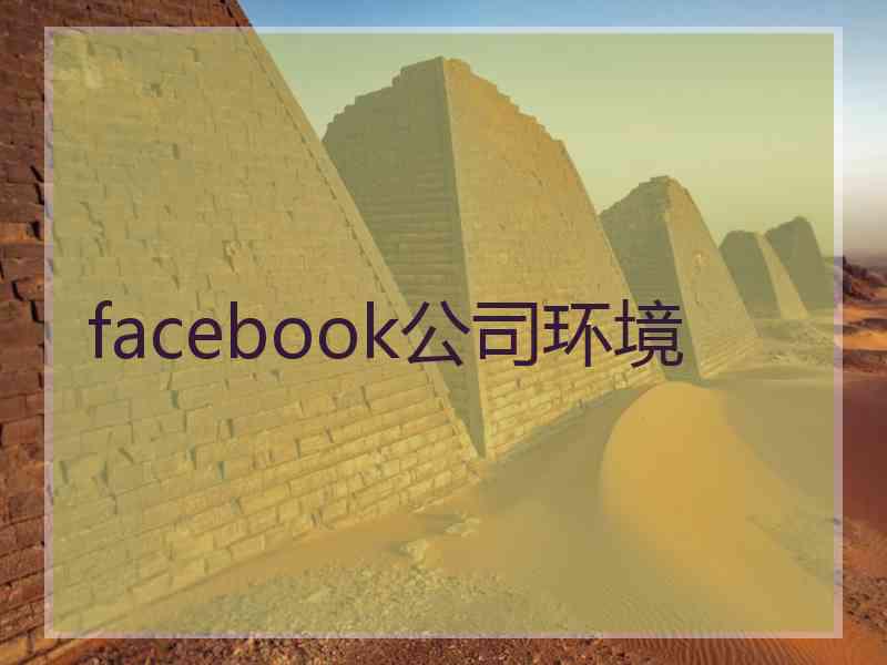 facebook公司环境